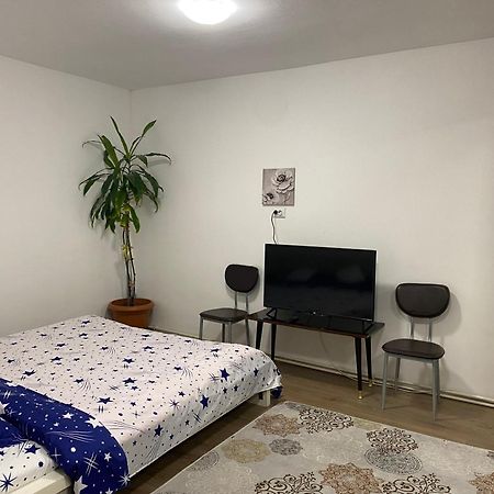 Ardelean Apartment Oradea Extérieur photo