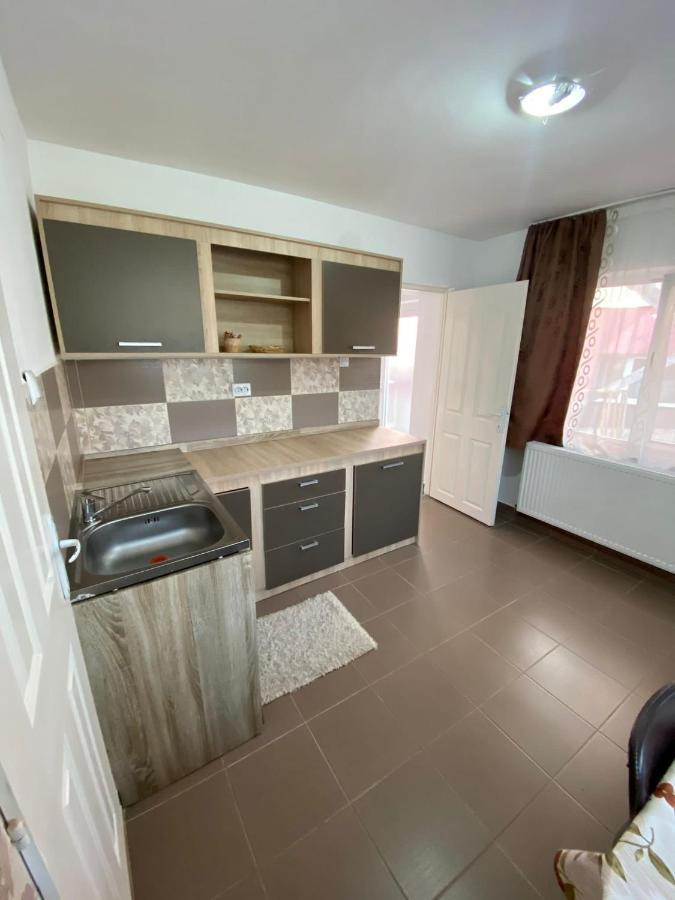 Ardelean Apartment Oradea Extérieur photo