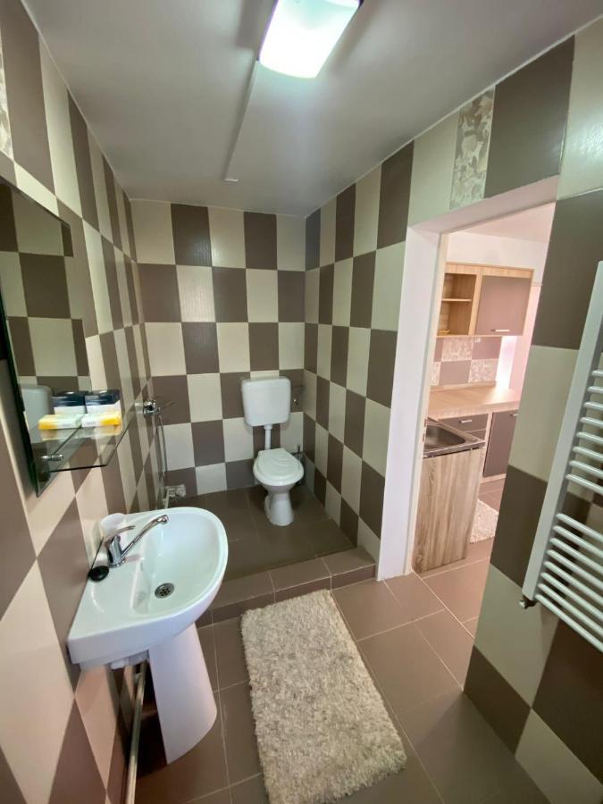Ardelean Apartment Oradea Extérieur photo
