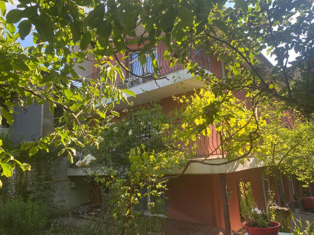 Ardelean Apartment Oradea Extérieur photo