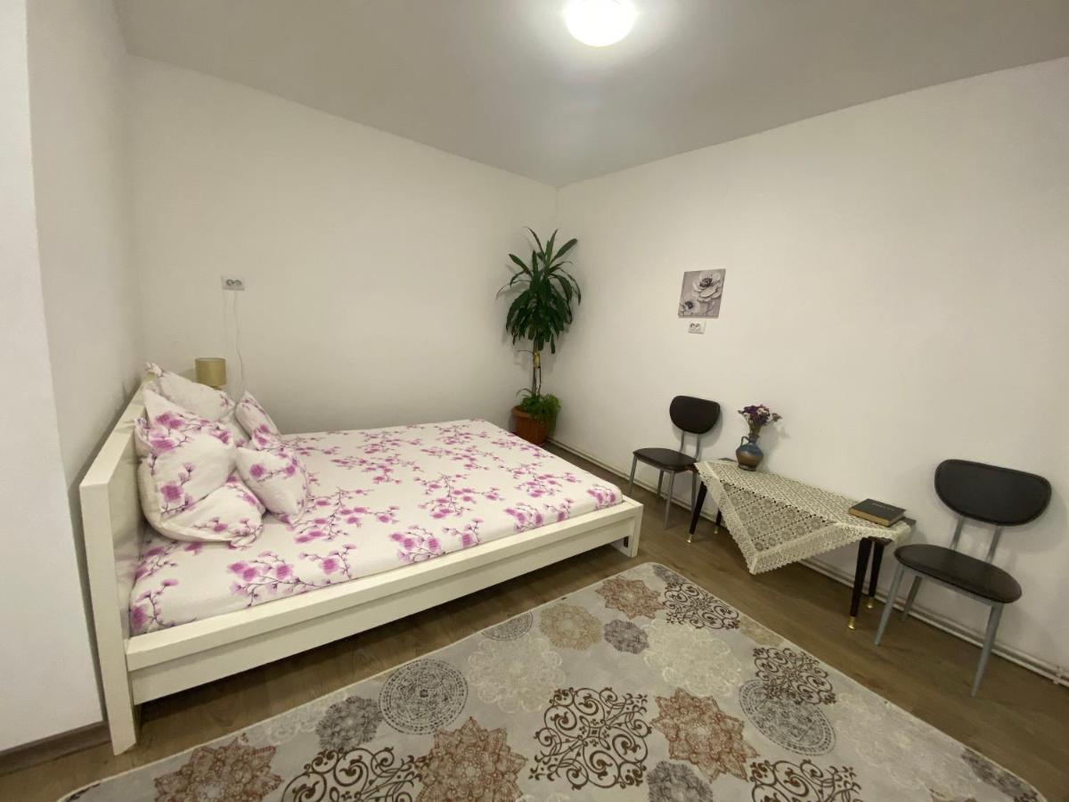 Ardelean Apartment Oradea Extérieur photo